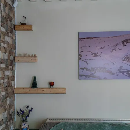 Pinenpeak Σπίτι διακοπών